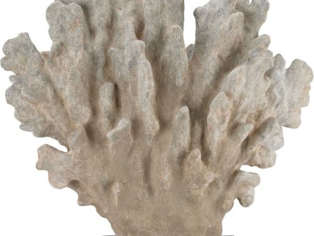 Cretaceous Coral Sculpture Online Hot Sale