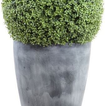 22" Boxwood Ball In Round Tapered Pot For Discount