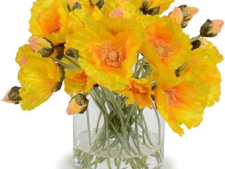 Wild Poppies in Vase For Sale