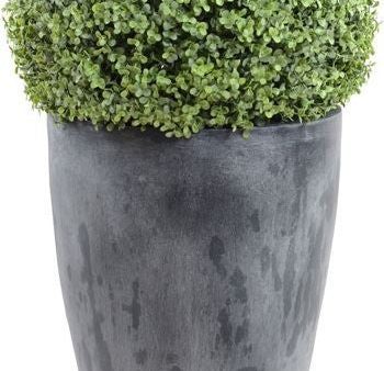 15" Boxwood Ball In Round Tapered Pot Online