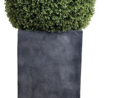 28" Boxwood Ball in Column Pot Online Hot Sale