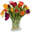 Assorted Tulips Arrangement For Cheap