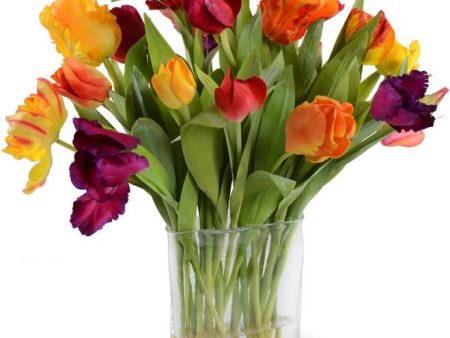 Assorted Tulips Arrangement For Cheap